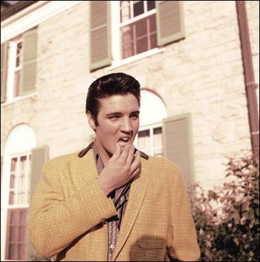 Elvis in Graceland
