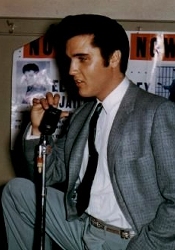 Elvis in gray
