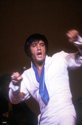 Elvis in hid dojo movement
