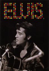 Elvis in-Lights Poster