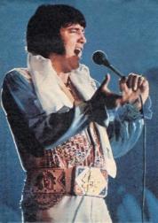 Elvis old age concert