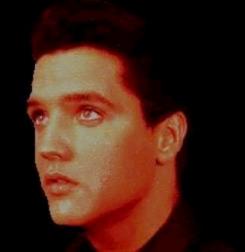 Elvis Presley face_young
