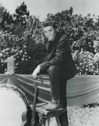 Elvis Presley Love Me Tender