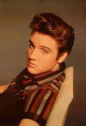 Elivs Presley with brown hair