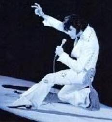 elvis presley video