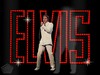 Elvis Presley with Elvis light sign