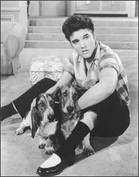 Elvis Presley with his two dogs
