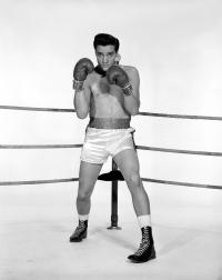 Elvis boxing