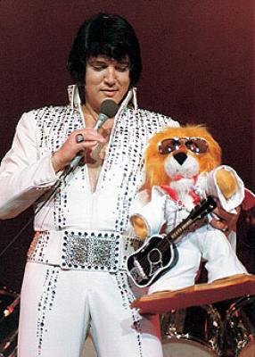 Elvis with elvis presley teddy bear
