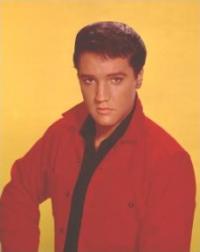 ELVIS