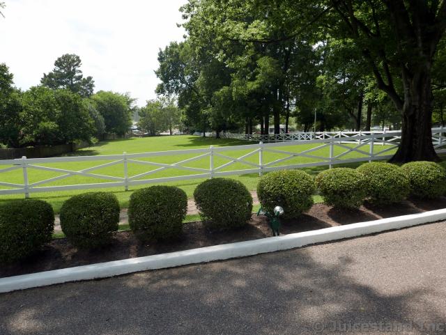 P1180881