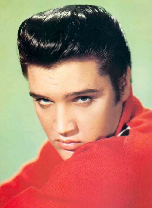 protrait of Elvis in red
