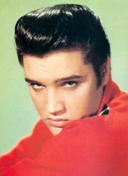 protrait of Elvis in red