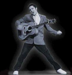shadow of Elvis