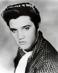 young Elvis protrait